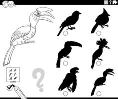 schaduwen taak met cartoon neushoornvogel vogel kleurboek pagina vector
