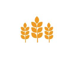 Landbouw tarwe logos vector