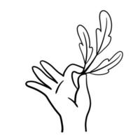 hand met tak met bladeren. verse plant in palm. vector