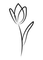 vector lineaire eenvoudige botanische poster. abstracte kunstlijnen, muurschilderingen, bloemen, bladeren, planten. modern design, doodle vormen, voorbladsjabloon, bedrukken van t-shirts, ansichtkaarten, banners en meer.