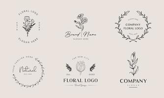 botanische bloemen element hand getekende logo met wilde bloemen en bladeren. logo voor spa en schoonheidssalon, boetiek, biologische winkel, bruiloft, floral designer, interieur, fotografie, cosmetica. vector