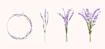 lavendel instellen vector stock illustratie. een boeket lila bloemen. ronde frame krans van paarse toppen. lila twijgen.