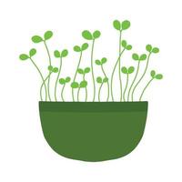 pot met microgroenten. microgreens erwten, radijs, ui, rucola. zonnebloem, bieten en anderen. vectorillustratie geïsoleerd op een witte achtergrond. getekende stijl. vector