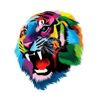 abstract tijgerhoofdportret, tijgergrijns, woedende tijger van veelkleurige verven. gekleurde tekening. vectorillustratie van verf vector