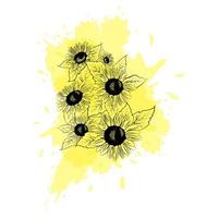 contouren van zonnebloembloemen op een gele aquarelvlek vector