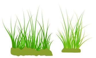 gras grond vector