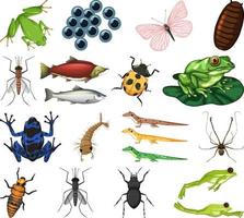 verschillende soorten insecten en dieren op witte achtergrond vector