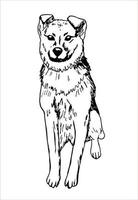 eenvoudige vectortekening in zwarte omtrek. huisdier hond zonder stamboom hond in een zittende pose geïsoleerd op een witte achtergrond vector