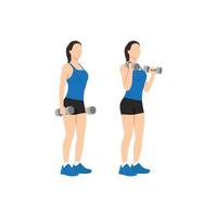 vrouw die dumbbell biceps hammer curls doet. platte vectorillustratie geïsoleerd op een andere laag. training karakter vector