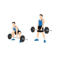 man doet sumo barbell deadlifts oefening. platte vectorillustratie geïsoleerd op een witte achtergrond vector