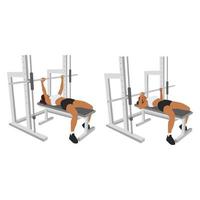 vrouw doet smith machine barbell bankdrukken platte vectorillustratie geïsoleerd op verschillende lagen vector