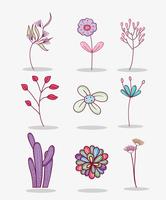 Set van bloemen vector