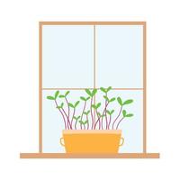een pot microgreens staat bij het raam. microgreens op de vensterbank. vectorillustratie van spruiten. vector