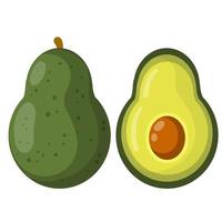 avocado. groen fruit set. geheel en half in sectie. vector