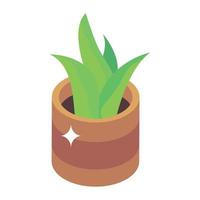 isometrische icoon van potplant, indoor home decor vector