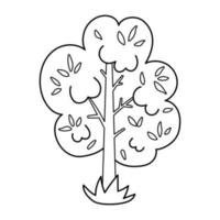 vector zwart-wit tuin of bos boom. schets lente bos of boerderij plant illustratie. natuurlijke lijntekening struik icoon.