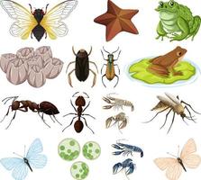 verschillende soorten insecten en dieren op witte achtergrond vector