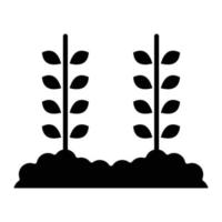 tarwe plantage glyph icon vector