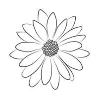 bloem. doorlopende lijntekeningen. een lijn. vector tekening. bloemen minimalistische stijl. botanische afdruk. natuur symbool.