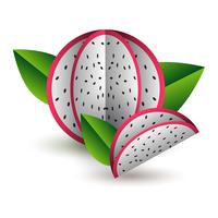 Het vector tropische document van het de zomer exotische fruit sneed volumetrisch. Origami. Geïsoleerd kleurenvoorwerp op witte achtergrond. Dragon fruit pitahaya en lobule