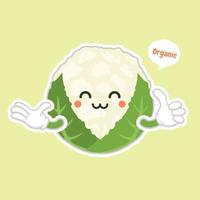 schattig en kawaii bloemkool. grappig en gezond eten. vitamines in bloemkool. eten met schattig gezicht. vectorbeeldverhaal. gezond voedsel, groenten vectorpictogram, vegetarisch veganistisch concept vector