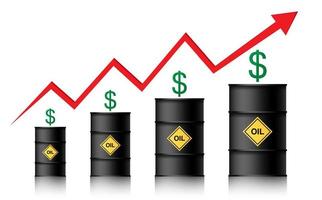 de olieprijs stijgt. vaten olie, dollar en infographics met een rode pijl omhoog. stijgende ruwe olieprijzen concept, vectorillustratie geïsoleerd op een witte background vector