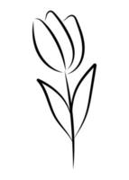 vector lineaire eenvoudige botanische poster. abstracte kunstlijnen, muurschilderingen, bloemen, bladeren, planten. modern design, doodle vormen, voorbladsjabloon, bedrukken van t-shirts, ansichtkaarten, banners en meer.