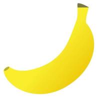 geïsoleerd bananenfruit. vector