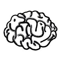 figuur menselijk brein anatomie om creatief en intellect vector