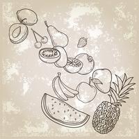 hand getrokken fruit vector