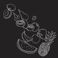 hand getrokken fruit vector