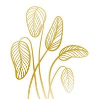 stelletje abstracte tropische bladeren. moderne minimalistische kunst, elementen van lineaire kunst, stijlvolle gouden kleur. hand getekende illustratie geïsoleerd op transparante achtergrond. vector