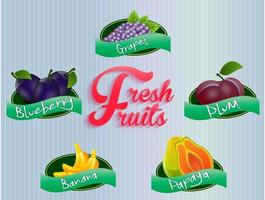 fruitlabels collection.vector vector