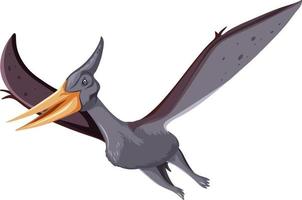 een dinosaurus pteranodon op witte achtergrond vector