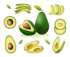 set van verse hele, halve, gesneden plak en bladeren avocado illustratie geïsoleerd op een witte achtergrond vector