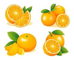 Verzameling van verse hele, halve en gesneden schijfjes oranje fruit geïsoleerd op een witte achtergrond vector