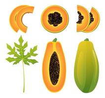 set van verse hele, halve, gesneden plak en blad papaya illustratie geïsoleerd op een witte achtergrond vector