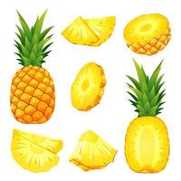 set van verse hele, halve en gesneden plak ananas illustratie geïsoleerd op een witte achtergrond vector