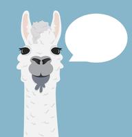 Alpaca lama portret met tekstballon vector