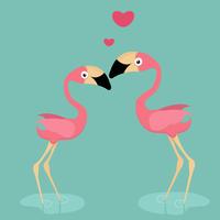 schattige flamingo verliefd vector