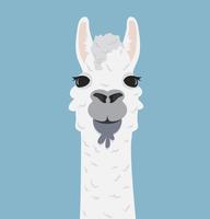 Alpaca lama portret vectorillustratie vector