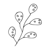 hand getrokken vectortak. kruid doodle geïsoleerd op een witte achtergrond. botanische illustratie voor kaart, print, web, design, decor, logo. vector