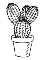 schattige handgetekende eenvoudige cactus. kamerplant in een pot clipart. cactussen illustratie geïsoleerd op een witte achtergrond. gezellige huiskrabbel. vector