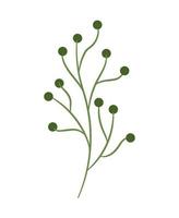 groene bessen plant vector