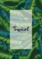 tropische zomerbladeren achtergrond met jungle planten vector