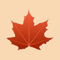 Autumn Single esdoornblad vector