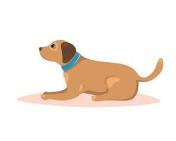 hond liegen. huisdier trainingsconcept. vectorillustratie. vector