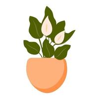 vectorillustratie van spathiphyllum. indoor bloem in pot geïsoleerd op een witte achtergrond. vector