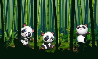 schattige drie panda's in het bamboebos vector