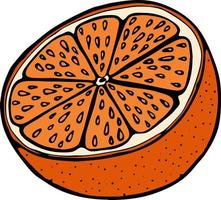 handgetekende illustratie met fruit sinaasappel, vectorillustratie vector